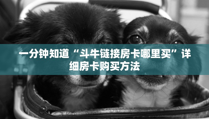 一分钟知道“斗牛链接房卡哪里买”详细房卡购买方法