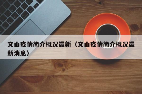 文山疫情简介概况最新（文山疫情简介概况最新消息）