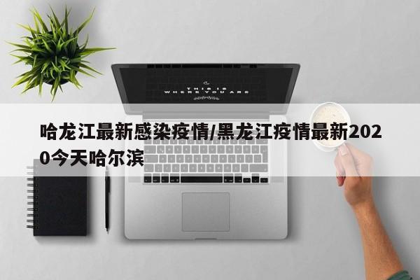 哈龙江最新感染疫情/黑龙江疫情最新2020今天哈尔滨