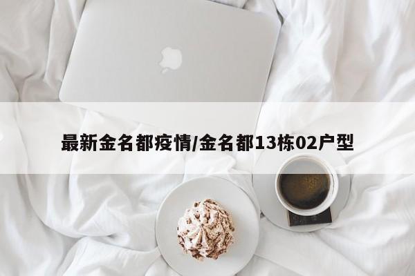 最新金名都疫情/金名都13栋02户型